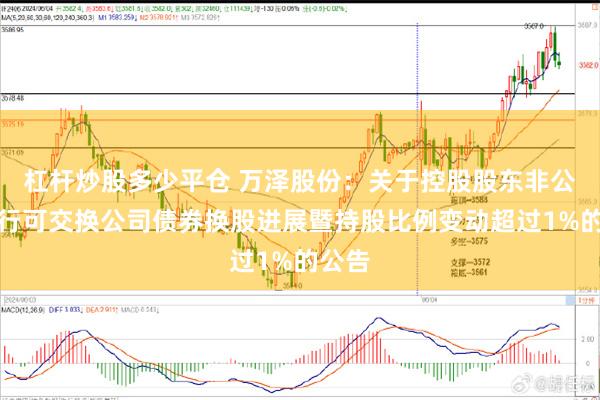 杠杆炒股多少平仓 万泽股份：关于控股股东非公开发行可交换公司债券换股进展暨持股比例变动超过1%的公告