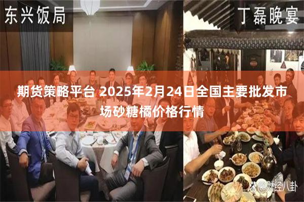 期货策略平台 2025年2月24日全国主要批发市场砂糖橘价格行情